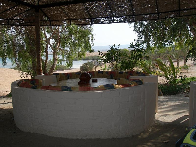 MANGROVE 07  2008 157.jpg